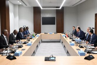 Egyptian PM and Tanzanian VP discuss infrastructure cooperation and Nile water security at Alamein-Africa Forum