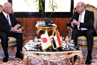 Egypt seeks Japanese investment in airport development projects