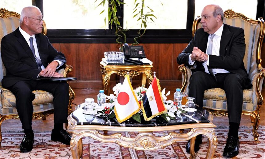 Egypt seeks Japanese investment in airport development projects