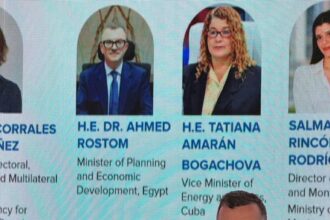 Egypt’s Minister of Planning and Economic Development Ahmed Rostom