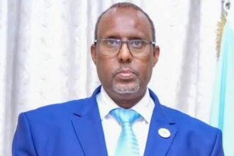 Somali Ambassador to Egypt Ali Abdi Awari