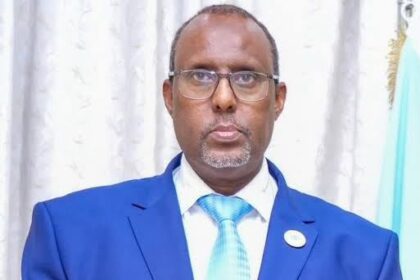 Somali Ambassador to Egypt Ali Abdi Awari
