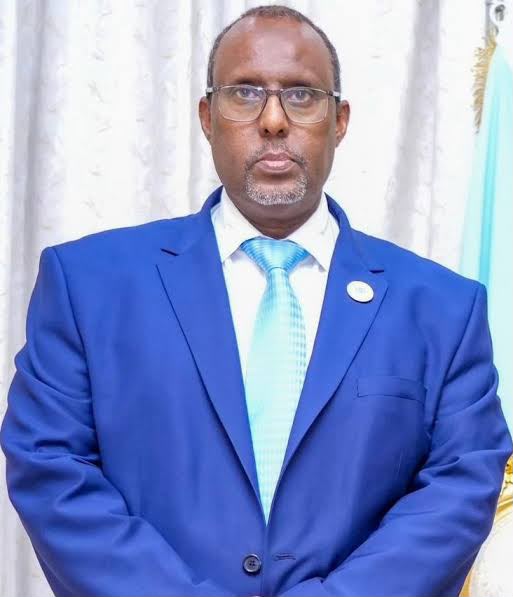 Somali Ambassador to Egypt Ali Abdi Awari