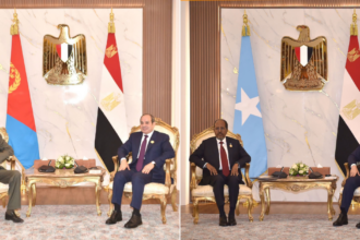 Horn of Africa security in focus as Al-Sisi meets Somali and Eritrean presidents in New Alamein