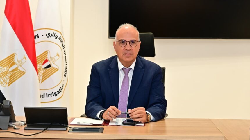 Water Resources and Irrigation Minister Hani Sewilam
