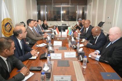 Egypt, South Africa seek deeper industrial integration, automotive cooperation