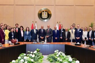 Egypt backs financing for 36 projects in southern Nile Basin states: Sewilam