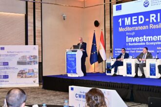 Egypt elected to chair Arab Ministerial Water Council executive bureau