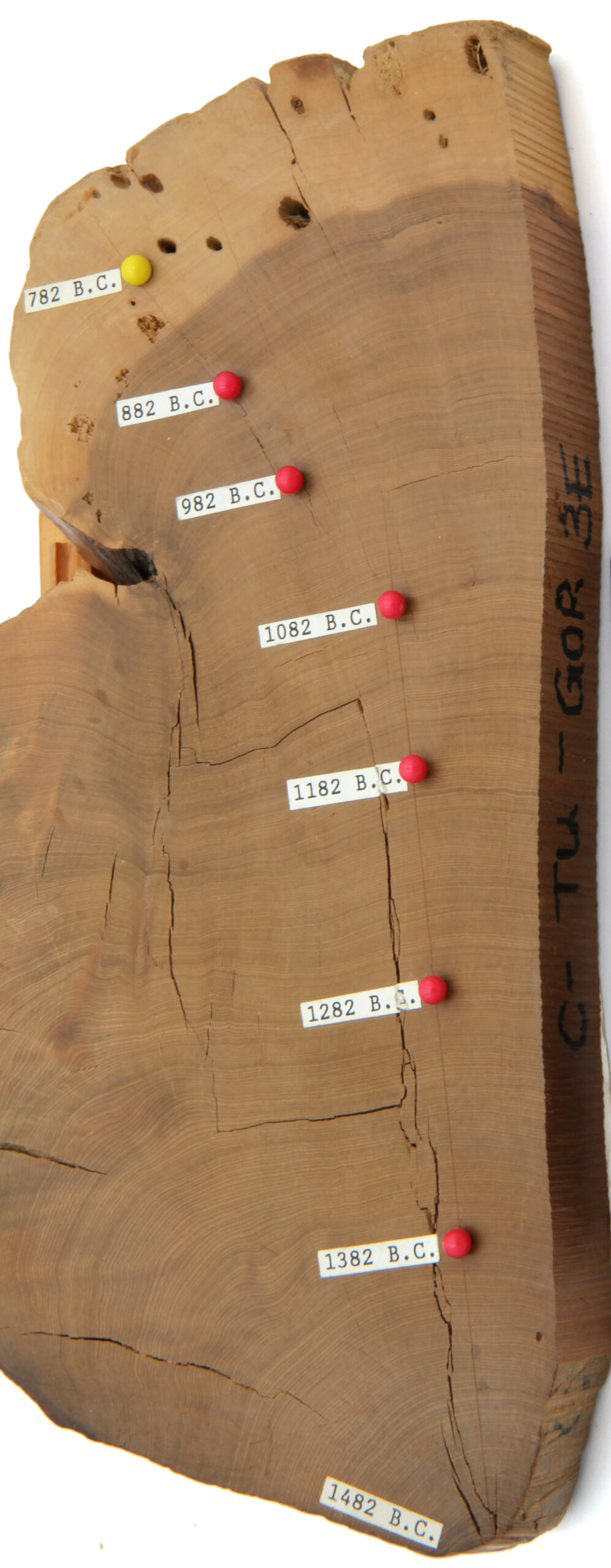 Tree rings, ice cores narrow timeline of Bronze Age Mesopotamia